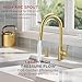 FORIOUS Gold Kitchen Faucet with Pull Down Sprayer, Modern Single Hole Kitchen Sink Faucet with Soap Dispenser, Deck Plate, Single Handle, High Arc Stainless Steel for RV Bar Farmhouse Laundry