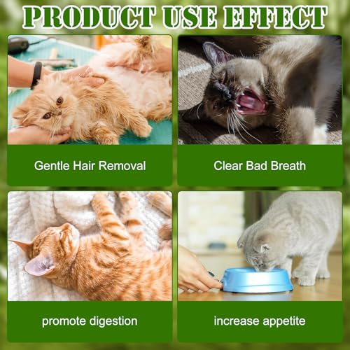 Katzengras Snack,60g Katzengras Sticks,Cat Grass Teething Stick,Beißstab aus katzengras, Gefriergetrocknet Snacks für Katzen,für die Zahnpflege und Haarknäuel Entfernen, Katzenminze