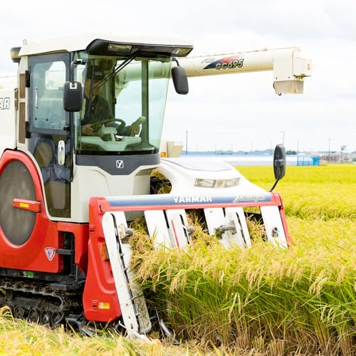 新米[令和7年産]無洗米 コシヒカリ 10kg (5kg×2) 稲敷市産 農家直送|米 こめ コメ ごはん ご飯 [1732]