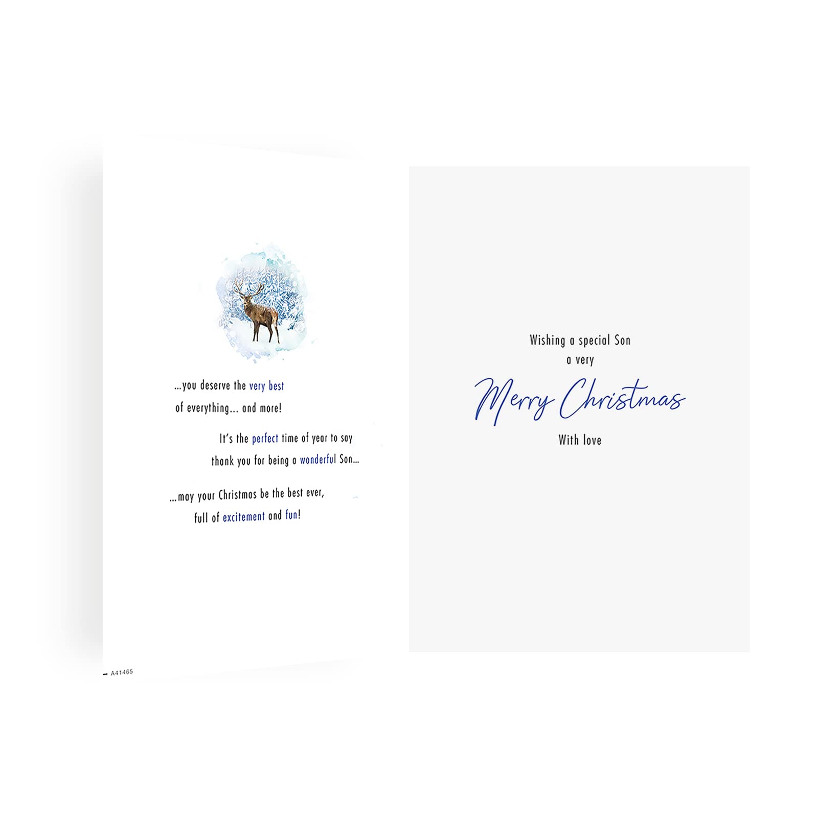Character Christmas Card Son - 9 X 6 Inches - Piccadilly Greetings
