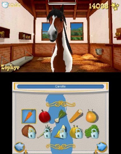 2 Jeux En 1 : Mon Haras 3d Tous En Selle + Mon Haras 3d Au Galop Vers 'aventure 3ds - vue 5