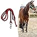 Aymzbd Horse Lead Rope with Bolt Snap, Horse Rope Leash Swivel Buckle, Strong Equestrian Equipment, Red 2Meters