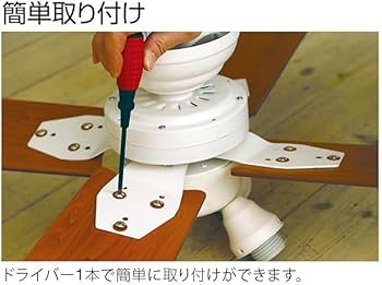 Amazon | plusmore(プラスモア) シーリングファン Windouble 4灯