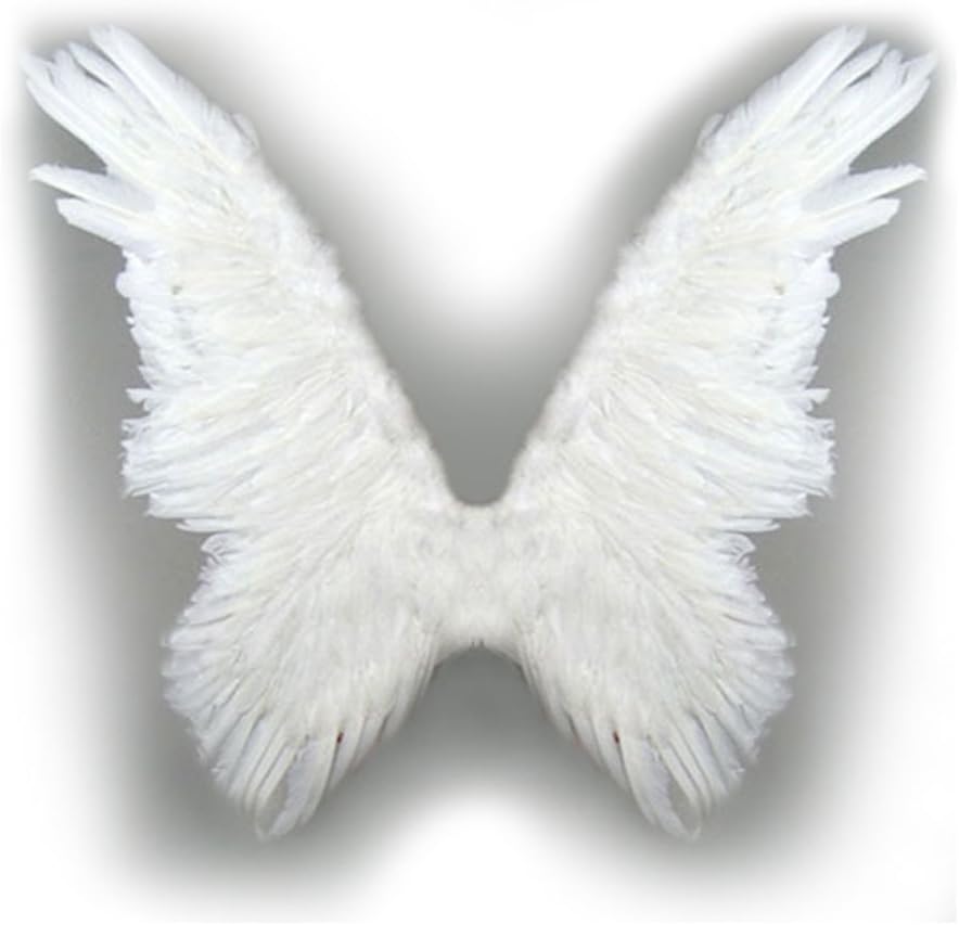 SACASUSA (TM Super Large Feather Butterfly Fairy Angel Wings 2 color Black or White
