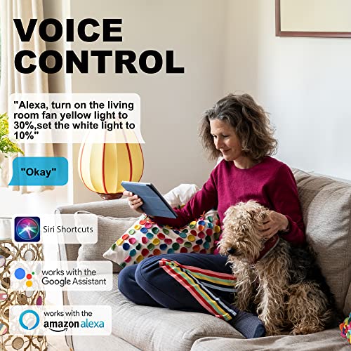 Smaair 52 Inch Smart Ceiling Fan With Lights,Remote Control And Dimmable Light Kit,Compatible With Alexa/Google Assistant/Siri Shortcut/App,5Blades Indoor And Outdoor Ceiling Fan (Black/Gold) #TOP2