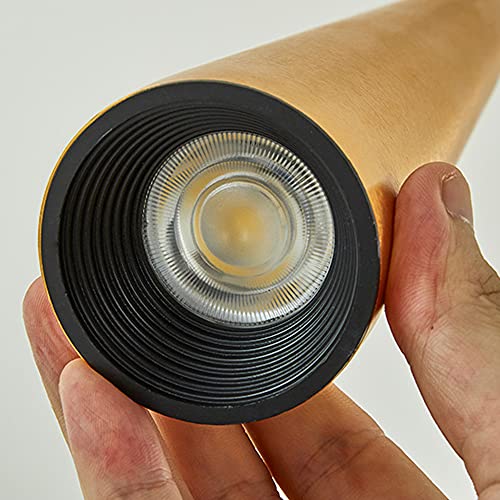 Spots de bar suspendus or réglables pour chambre 6000K