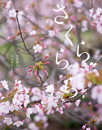 さくららら さくららら