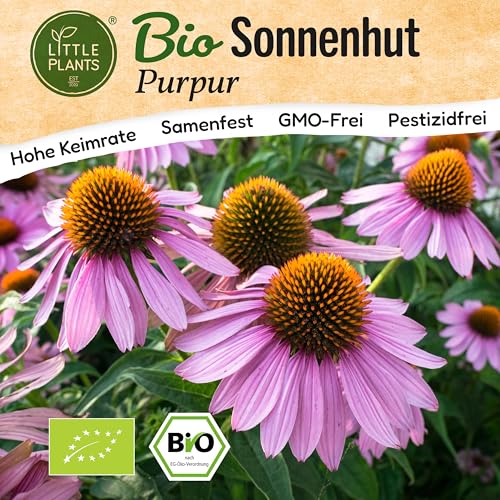 Little Plants BIO Sonnenhut Samen 125 Sonnenhutsamen Purpur Blumensamen Samenfest für Blumengarten Blumen Samen für Balkon und Garten