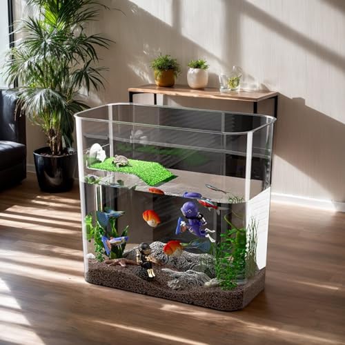 Bol à poisson décoratif transparent pour Betta - Entretien facile - 4
