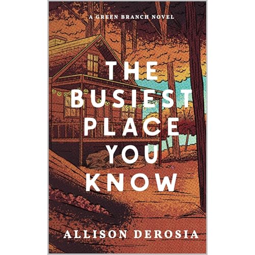 The Busiest Place You Know Audiolibro Por Allison DeRosia arte de portada