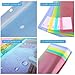 10 Pack Plastic File Folders with Label Pockets - US Letter & A4 Size Clear Document Envelopes, Assorted Color Poly Organizers for Office School Supplies