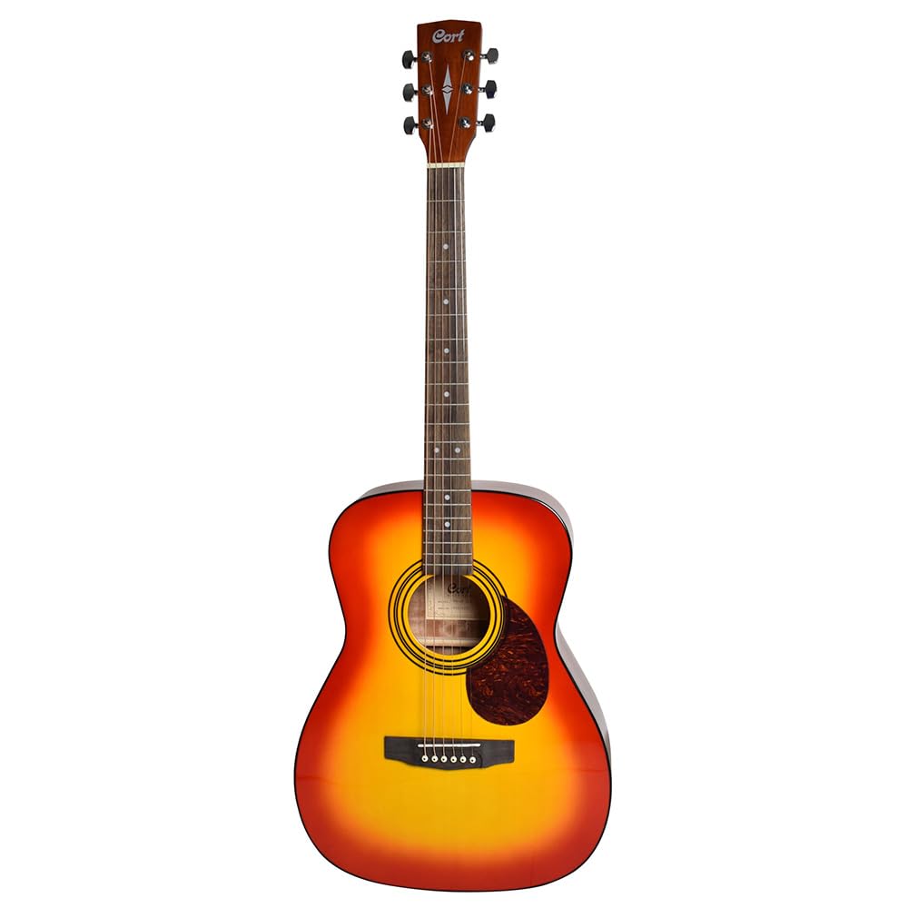 Amazon | Cort CAG-1F CAO アコースティックギター 教本付き