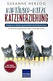 Kartäuser-Katze Katzenerziehung - Ratgeber zur Erziehung einer Katze der Kartäuser Rasse: Ein Buch für Katzenbabys, Kitten und junge Katzen