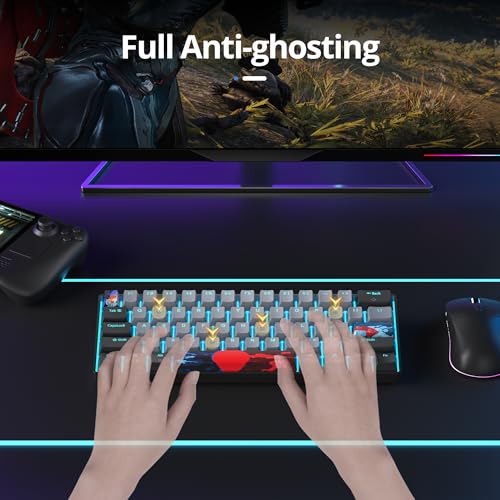 Image of 60 Percent Gaming Keyboard 61 Keys Wired Mechanical Keyboard Ultra Compact Key Board Red Switch LED Backlit for Windows Laptop Gamer(61Heihui)
