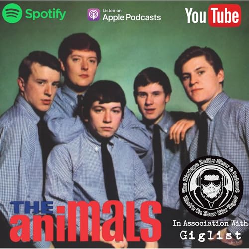 John Steel - The Animals. Bob Dylan Pub Crawls, House Of The Rising Sun and Farewell Australian Tour