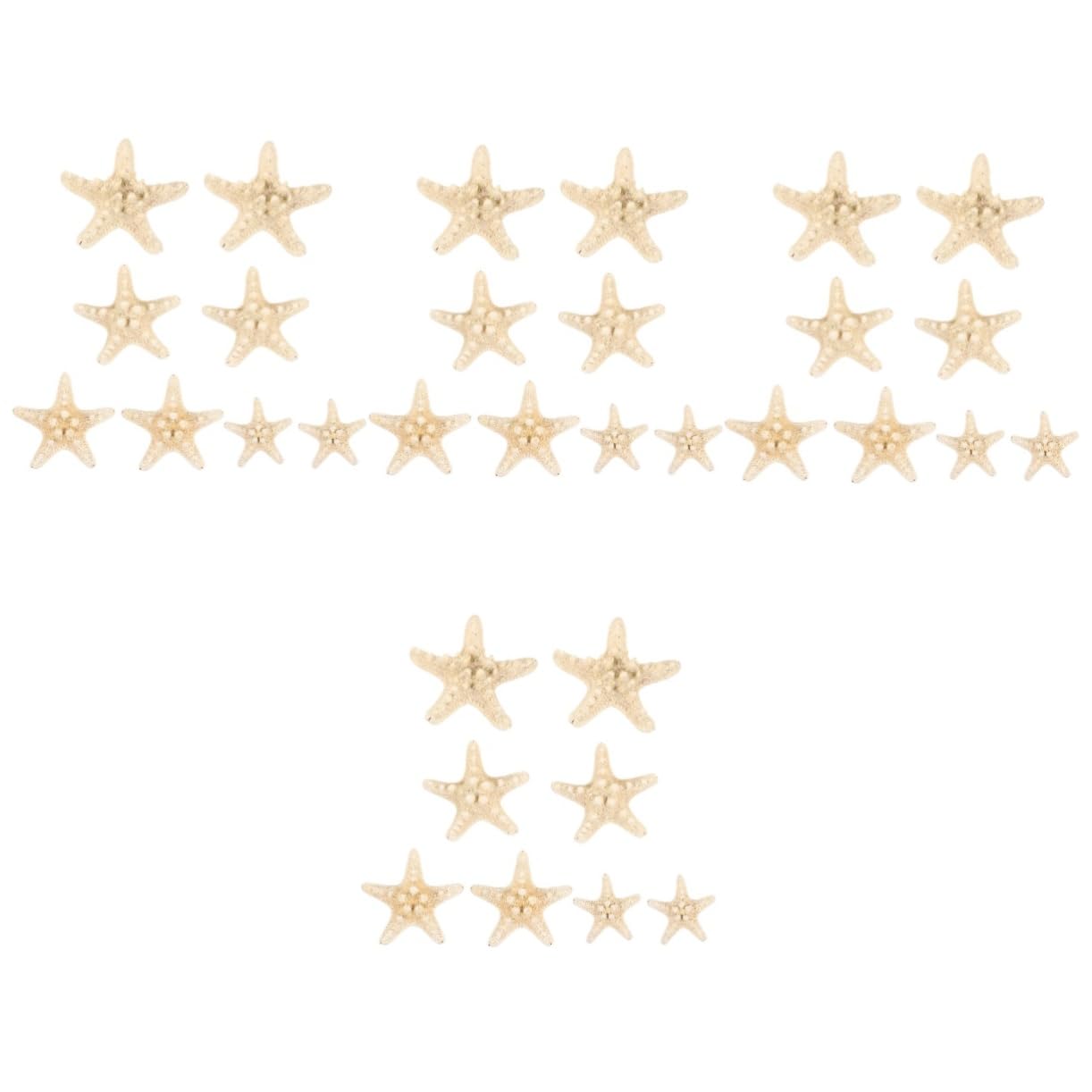 Happyyami 32piezas Decoración De Estrellas De Mar Artificiales para Acuarios y Fiestas Marinas Diferentes Accesorios Realistas para Decorar Peceras y Eventos De Verano
