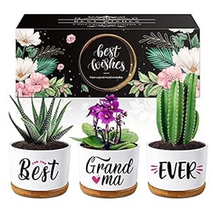 Gifts for Grandma, Grandma Birthday Gifts from Grandchildren, Best Grandma Ever Succulent Pots Grandma Presents for…
