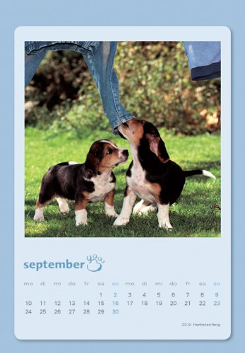 Tierbabys Kuvert 2012