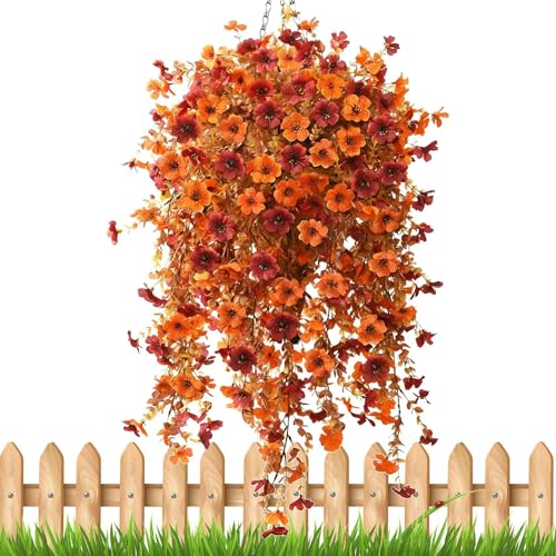 Eoixuqba H̐lH Op - Aȃu[P - 70Z` Oϐ ,|[`p peBIp p tFXp oRj[p 肷p [hp