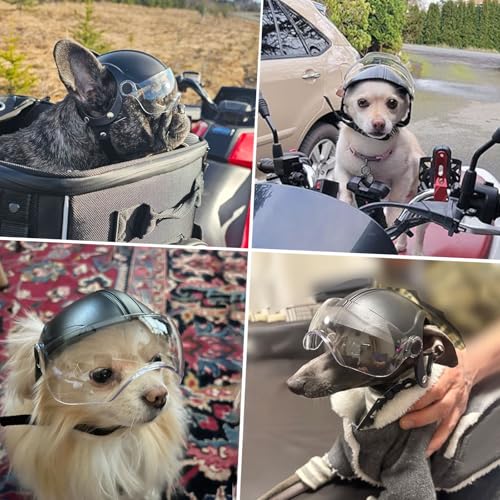 Enjoying Hundehelm für Kleine Hunde, Hundehelm mit Klaren Brillen, Hundehelme Hut mit Ohrlöchern, Motorrad Fahrrad Hundehelm für kleine bis mittlere Hunde, Verstellbar, Schwarz