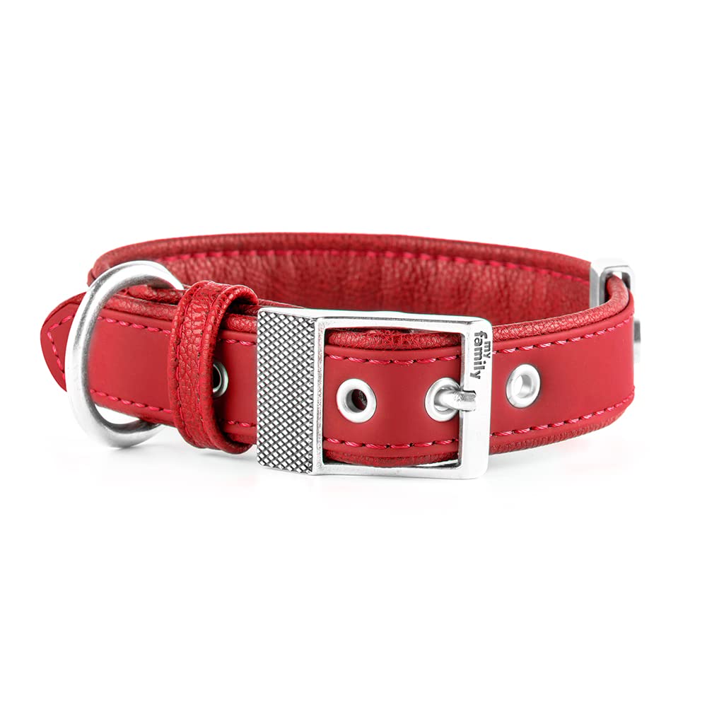 Collar Ajustable Para Perros Salvador Hebilla De Metal 5 Colores 3 Tamanos Amarillo