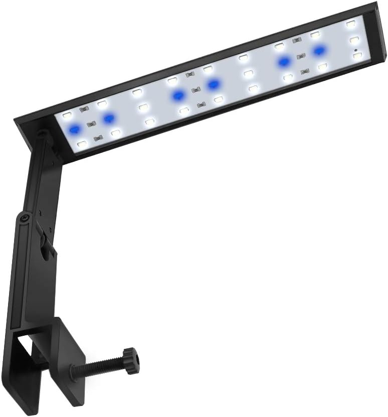 WOTERZI LED Aquarium Light Clip on Fish Tank Light with Adjustable Bracket, White and Blue LEDs