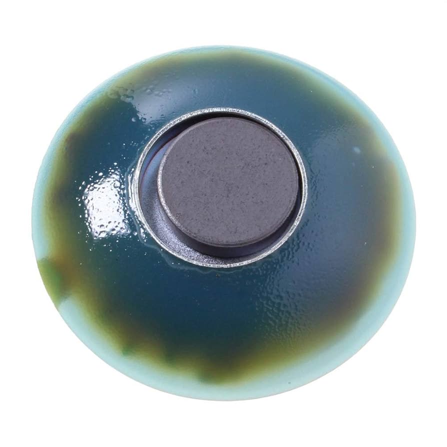 冷やし中華　　●実物大●本物そっくり食品サンプル●宣伝・オブジェ・癒しキット Amazon.co.jp: 食品サンプル屋さんのマグネット（冷やし中華