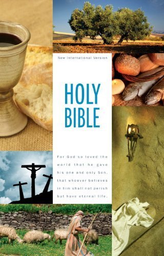 NIV Holy Bible, Textbook Edition by Zondervan p... B009O7R1NE Book Cover