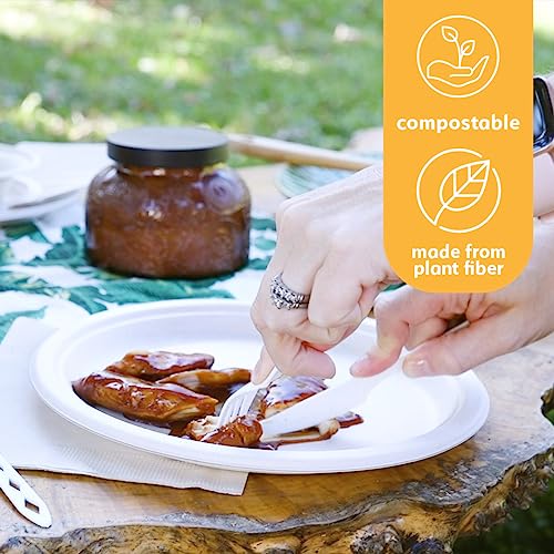 100-Compostable-Disposable-Paper-Plates-Bulk-9-50-Pack-Bamboo-Plates-Eco-Friendly-Biodegradable-Sturdy-Large-Dinner-Party-Plates-Heavy-Duty-Unbleached-by-Earths-Natural-Alternative