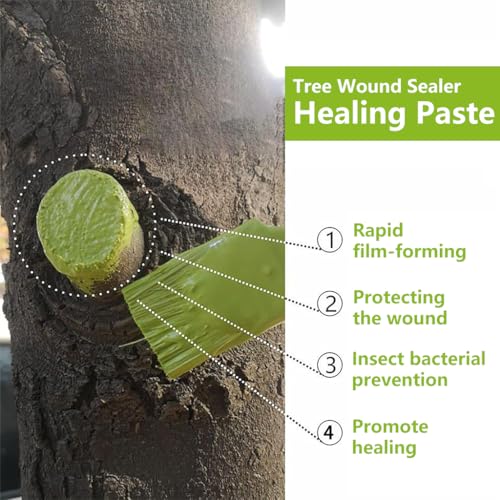 Image of ORTIZA Pruning Sealer Paste, Tree Wound Care for Bonsai Grafting