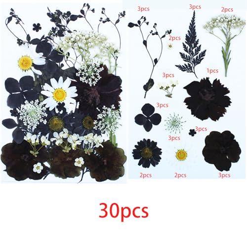 Cayway 2 Pack Dried Pressed Flowers for Resin Molds Black Real Pressed Flowers Dry Leaves Kit Natural Dried Pressed Leaves for Art Crafts Resin Scrapbook Supplies Soap Candle DIY - Image 2