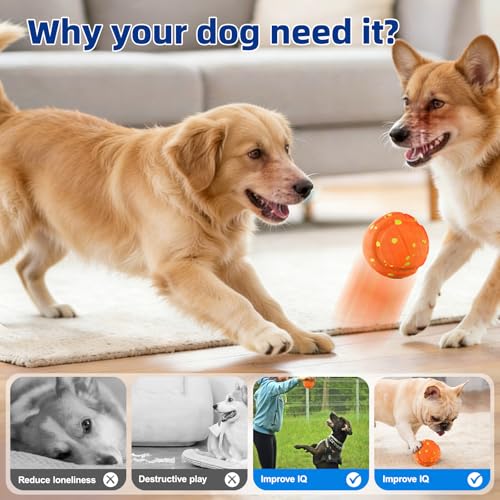 BIRDTOBR Interaktiver Hundeball, Hundespielzeug Ball, 3 Spielmodi USB Wiederaufladbar Intelligentes Spielzeug, Self Moving Dog Ball für Hunde, Geeignet für Welpen mittlere und große Hunde(Or-7