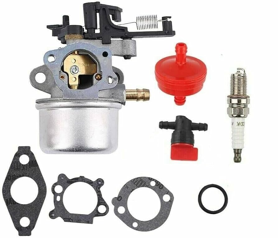 Amazon.com: For Carburetor for Ruixing Model 216852 on For