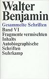  Gesammelte Schriften: VI: Fragmente vermischten Inhalts. Autobiographische Schriften