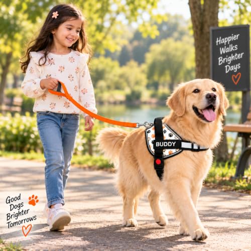 Image of White Paw Dog Vest Harness with Leash, No Pull & Reflective