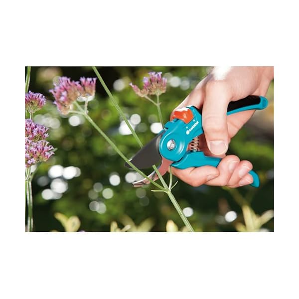 Gardena FreshCut: Ernteschere aus rostfreiem Edelstahl zum präzisen Ernten von Kräutern, Beeren oder Schnittblumen, 47 mm Klinge, ergonomischer Griff, inkl. Sicherheitskappe (12212-20) – Bild 5