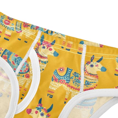 Cute Alpaca Toddler Boy's Underwear 2T 202c00304