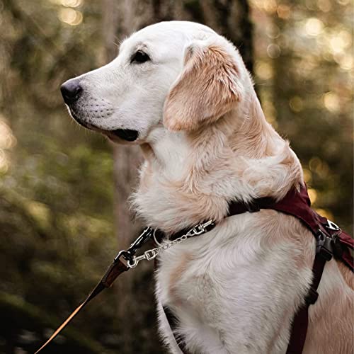 Deyace Metal Dog Collar Safety Clip, 2 Pack Heavy-Duty Backup For Prong Collar, Dog Harness Collar Connector 8Inch/10Inch (8-Inches, Black) #TOP4