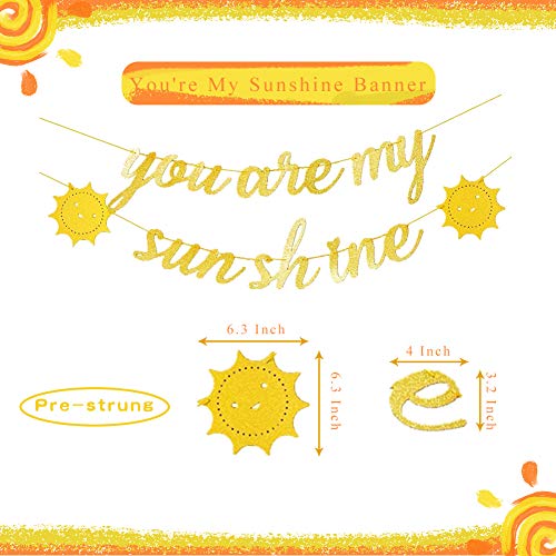 Pratyus You're My Sunshine First Birthday Party Decoration With Yellow Birthday Banner And Garland,Baby Crown Hat And Cake Topper For Baby Girl Boy Photo Booth Props #TOP2