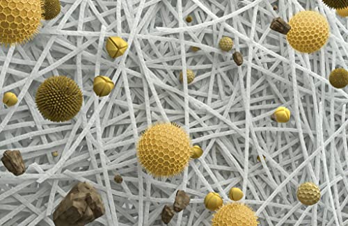 iRobot 4415864 HEPA Filters, Pack of 3