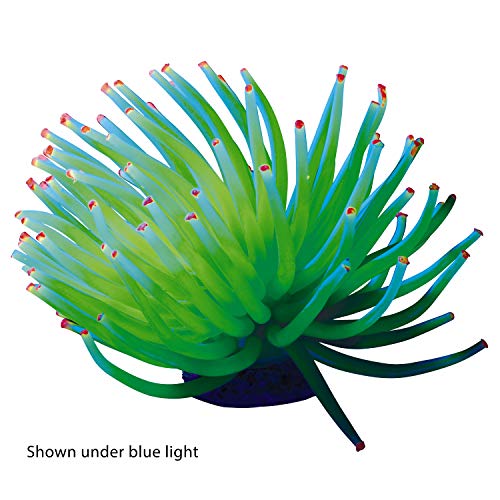 GloFish Anenome Ornaments, Fish Tank Decorations, Aquarium Decorations, Creates a Glowing Effect (Pack of 1) - Image 3