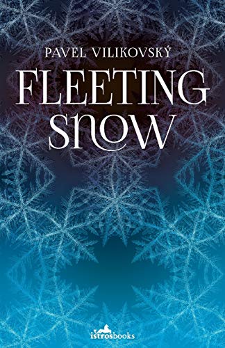 Fleeting Snow view 2