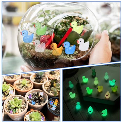 بطة صغيرة من الراتنج من تيلوكو، 50 قطعة من البط الصغير المضيء، بط مصغر لطيف يتوهج في الظلام للحديقة وبيت الدمى، زينة البط والمناظر الطبيعية الصغيرة وديكور حفلات حوض السمك (12 لونًا)