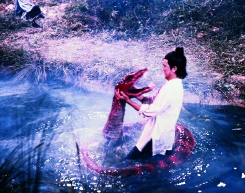 The Battle Wizzard - Das Blut der roten Python