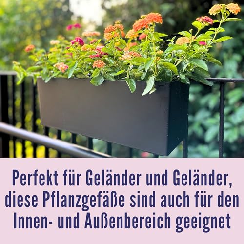 LaLaGreen Geländer-Pflanzkasten (4 Stück, 50,8 cm), schwarz, rechteckig, Fenster-Blumenkästen mit Halterung, Selbstbewässerungssystem, Hängepflanzkasten für den Außenbereich, Pflanzkübel für den