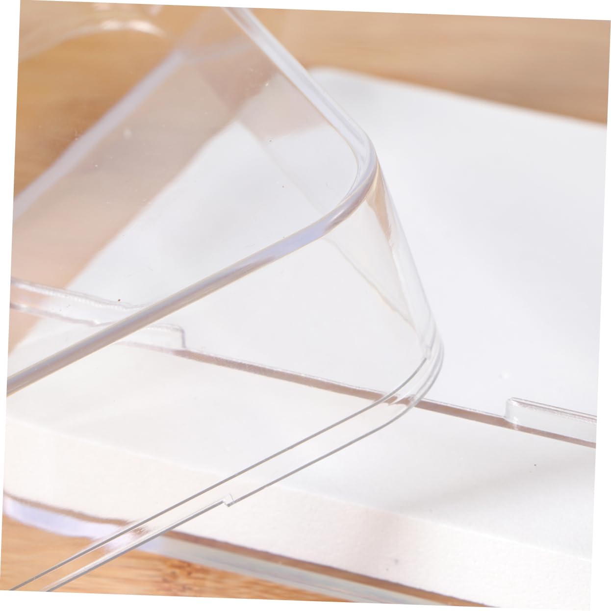 HOLIDYOYO 1pc Insect Display Case Specimen Box Freeze Display Plant Box for Collectibles