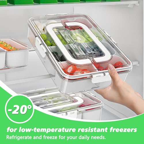 ECHOBUY Snackbox mit Fächern, Snackteller Snackschale 8 Zellen, Kühlschrank Organizer mit Deckel und Griff für Picknicks Familientreffen Couchbar - 28x21x7cm 