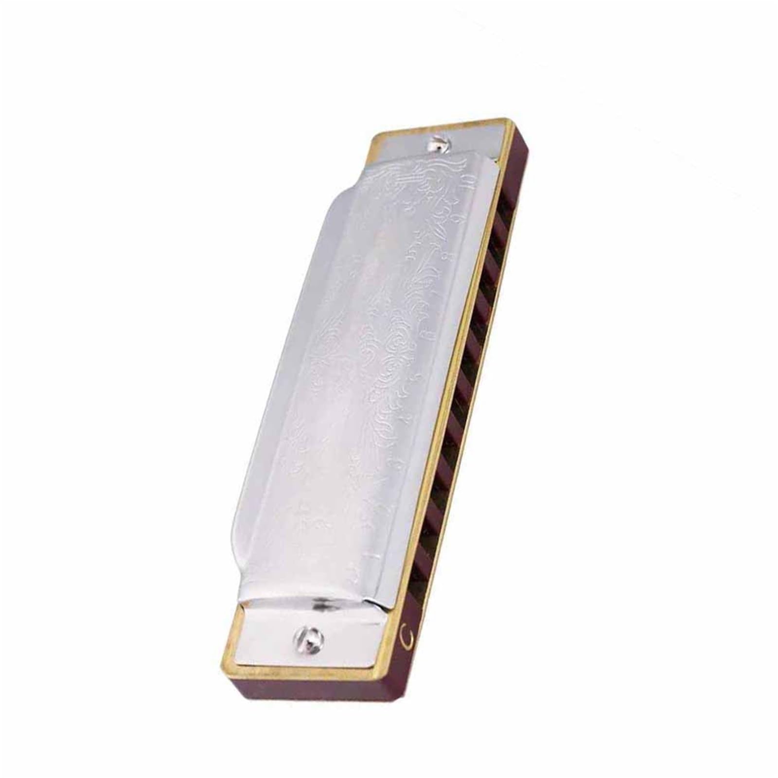 Armonica Armonica A Bocca Diatonica Blues Gaita A 10 Fori 20 Toni Per Principianti(Key of C)