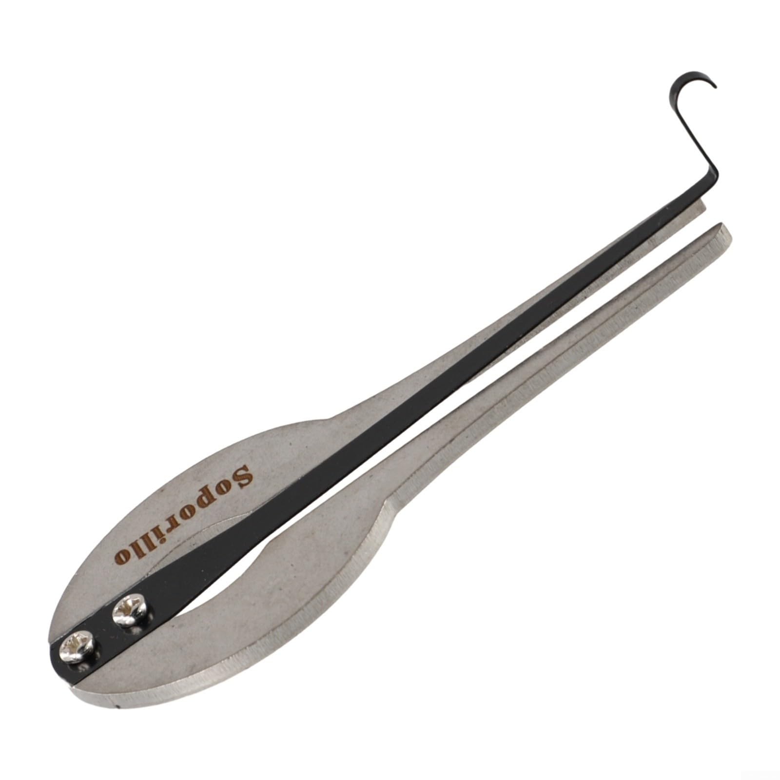 Harpe à mâchoire en acier inoxydable portable ethnique russe folk harpe pour débutants, chrome (grande taille) (grande taille (grande taille (grande taille (grande taille (grande taille (grande taille