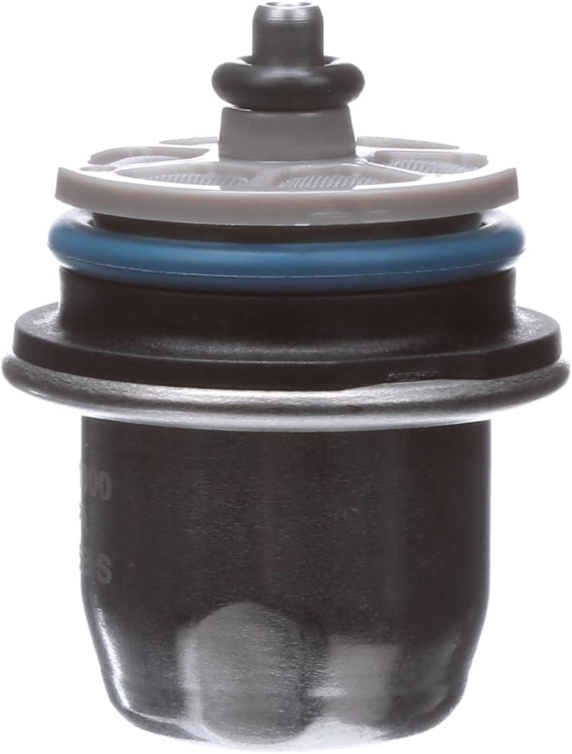 Delphi FP10021 Fuel Injection Pressure Regulator : Automotive